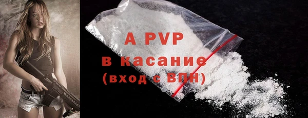 spice Бородино