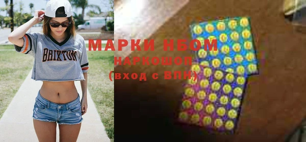 прущие грибы Бронницы