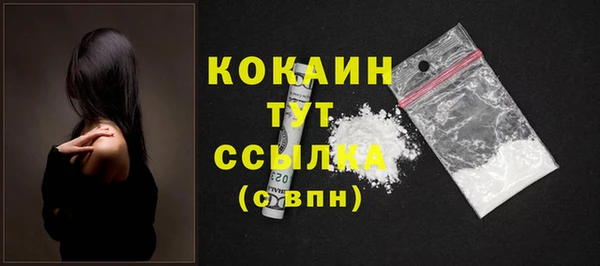 прущие грибы Бронницы