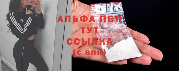 spice Бородино
