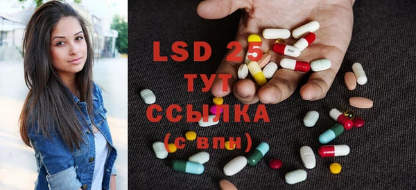 spice Бородино