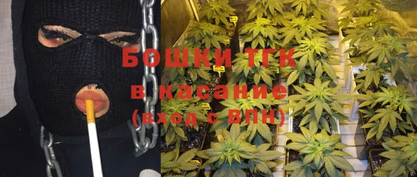 бошки Верхний Тагил