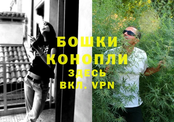 прущие грибы Бронницы