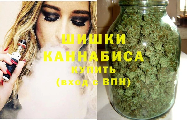 прущие грибы Бронницы