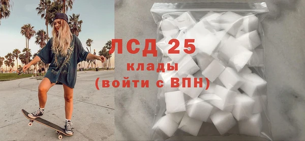 spice Бородино