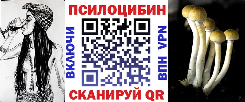 мега tor купить наркоту Махачкала Галлюциногенные грибы Psilocybine cubensis